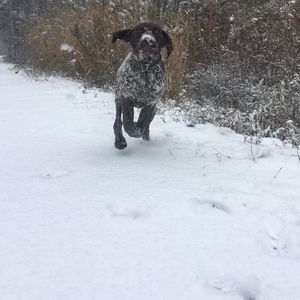 Meet your Posher, Sabrina